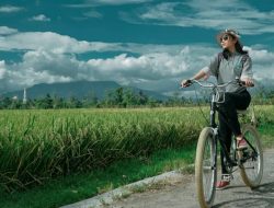 Desa Wisata Bilebante: Pesona Alam dan Budaya di Lombok Tengah, Patut di Kunjungi!