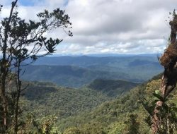 Menjelajahi Pesona Keindahan Gunung Harun di Kalimantan Utara