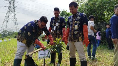 PLN UIT JBB Gelar Program Energizing Green Space untuk Peringati Hari Menanam Pohon Indonesia 2024