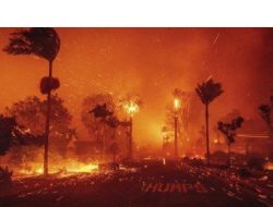 Tornado Firenado: Fenomena Alam yang Memperburuk Kebakaran di Los Angeles