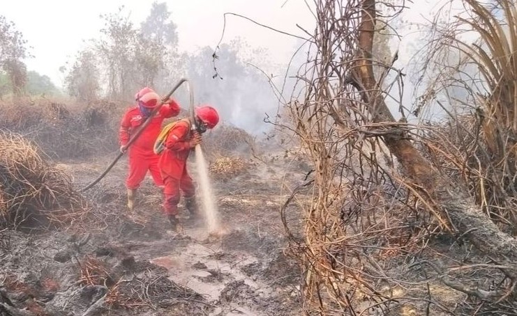 Karhutla Kembali Jadi Sorotan, Pemerintah Diminta Tak Berhenti pada Pemadaman
